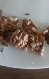 گردو