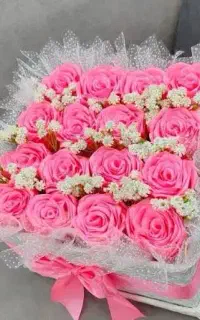 گل زیبا.گل روبانی