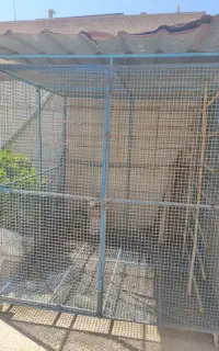 قفس  کبوتر