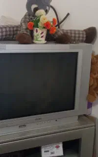 تلویزیون ۲۹