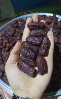 کشتی دستچین پیاروم