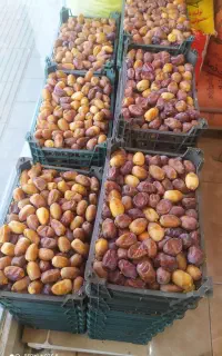رطب عسلی تازه رسید...