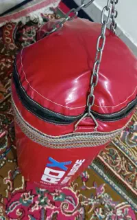 کیسه بوکس حرفه ای