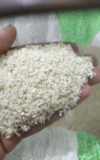 نیم دانه برنج هاشمی
