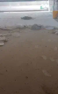 نظافت ساختمان