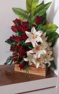 دسته گل  نو نو