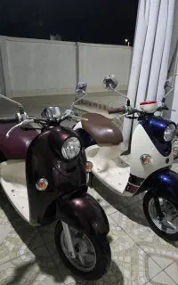 پاکشتی وینو مدل جدید