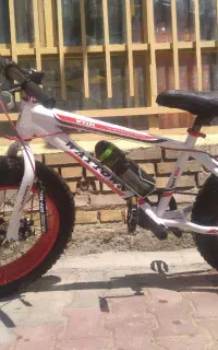 فروش دوچرخه حرفه ای