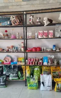 قفسه چیدمان