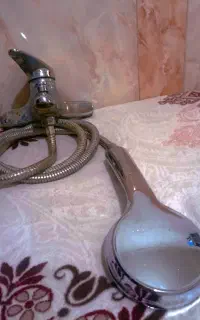 شیر با دوش تلفنی