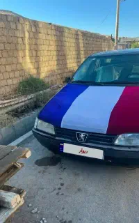 پژو۴۰۵ تمامرنگ