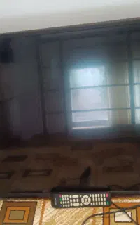تلویزیون