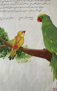 آموزش و تدریس  معلم خصوصی  دبستان اول تا پنجم