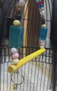 تاب مخصوص پرنده