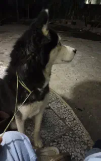 قیمت ۵ تومان