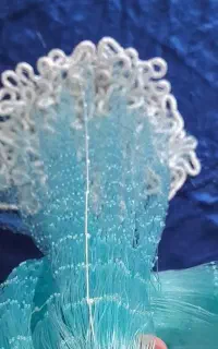 تورپرتابی(سلیه)