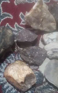 سنگ های قیمتی و زنده