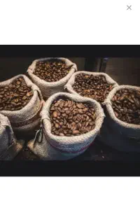 عمده فروشی دون قهوه آریل
