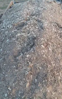 کود مرغی خشک .قفسی .سالنی .خمیری