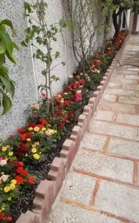 خدمات باغبانی وتعویض خاک گل های آپارتمانی درمنزل