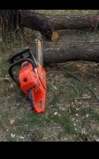 خدمات.چوب بری.خریدوفروش چوب (درختان میوه)