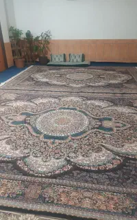 دوعددقالی ۷۰۰شانه