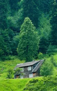 خریدار حواله سوخت گازاییل