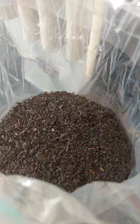 فروش چای ممتاز بهاره گیلان