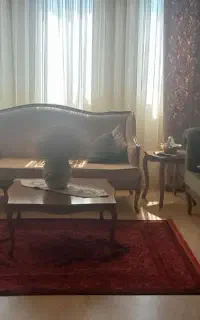 مسکن فیروزه/حاشیه دارایی(کوثری)
