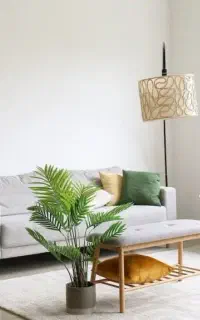 استخدام نیروی خانم برای نظافت منزل