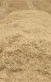 دو نفر کارگر