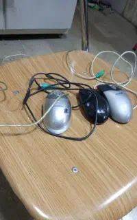 سه عدد موس کارکرده فراسو