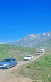 طبیعت گردی
