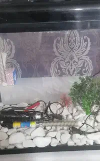 آکواریوم
