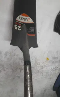 بیل چینی