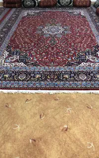 قالی 12 متری