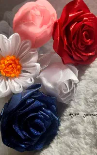 گل ربانی ، شاباش