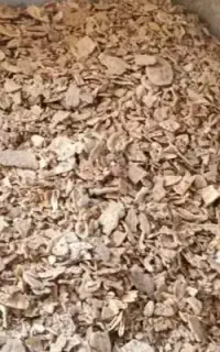 خرید نقدی نان خشک