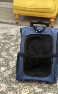 ساک حمل پت
