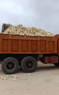 ده چرخ بنزچهاردست فنر
