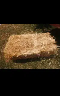 بسته کلش پرس گندم..50 انبار کاه شیرازی3500000