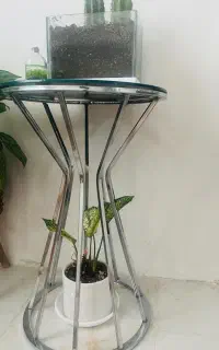میز کنار سالنی