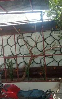 انواع طرح سیمانی شیک