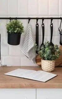 رگال