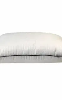 بالشت پر قو