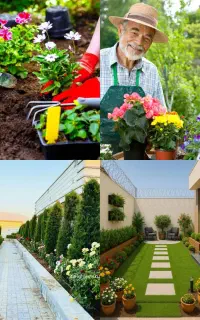 خدمات باغبانی گلکاری کاشتی گل درختکاری کوددهی هرس‌