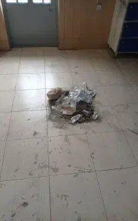 نظافت منزل ، راه پله و پارکینگ