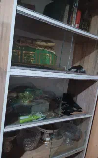 کتابخانه یا ویترین