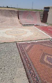 قالیشویی شادمان