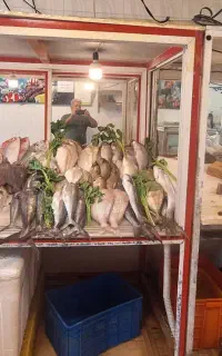 بساط ماهی ومیگو